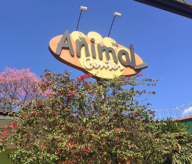 Clínica Veterinária em SP 